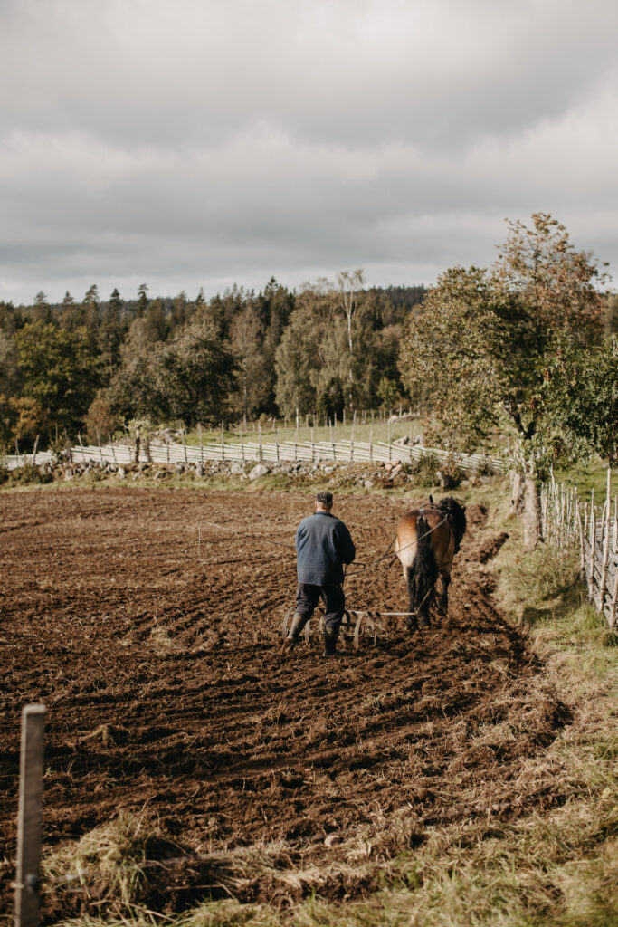 Höstbruk med häst &#8211; ett besök i Åsens by